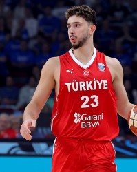 开云体育登录-申京20+15+5全能数据，近30年欧锦赛仅两人达成！