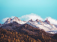 乐鱼体育登陆——畅享极致体育体验