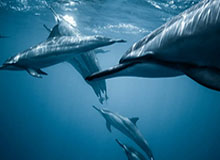 开云官网-九游体育app下在：一键开启你的专属体育世界